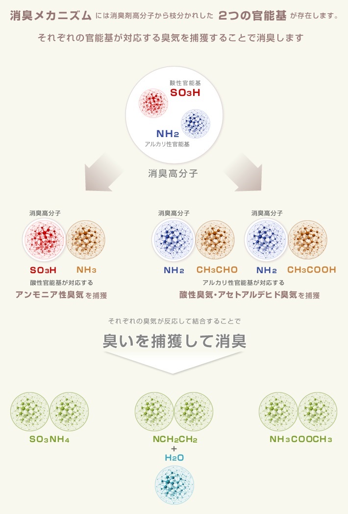 悪臭物質の吸着原理